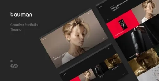 Bauman Creative Portfolio Theme 1.8 GPL Theme