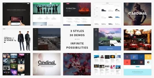 Cardinal WordPress Theme 2.6.33 GPL Theme