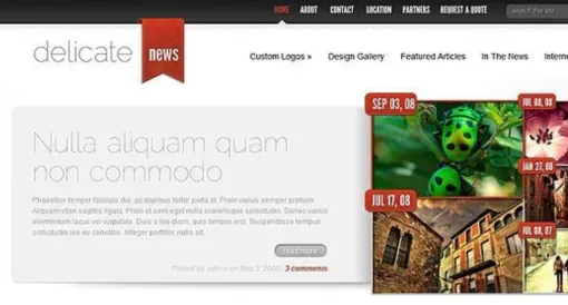 Elegant Themes DelicateNews 4.6.13 GPL Theme