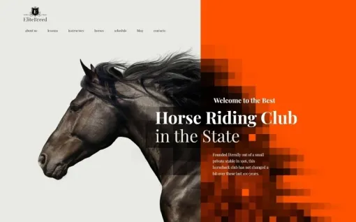 Elite Breed Equestrian Horse Riding Club WordPress Theme 1.0.0 GPL Theme