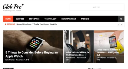 FameThemes Glob Pro WordPress Theme 0.1.3 GPL Theme