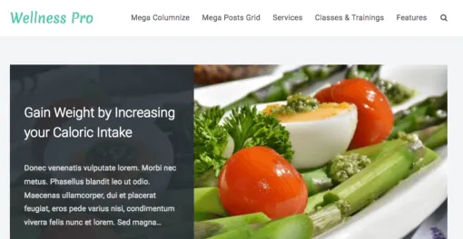 FameThemes Wellness Pro WordPress Theme 1.2 GPL Theme