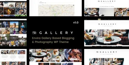 Gallery Blogging Envira WordPress Theme 1.0.5 GPL Theme