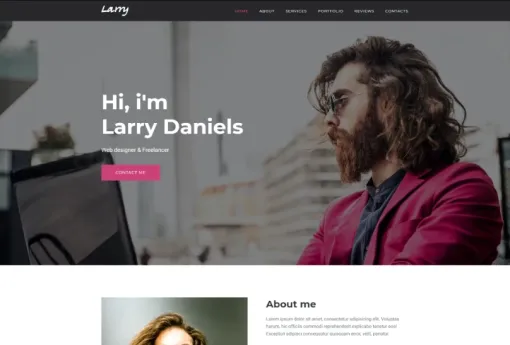 Larry. Personal WordPress Theme 1.0.2 GPL Theme
