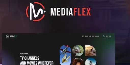 MediaFlex – TV Channel Streaming WordPress Theme 1.0 GPL Theme