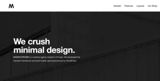 Monochrome Pro Theme 1.6.0 GPL Theme