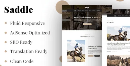 MyThemeShop Saddle WordPress Theme 1.0.10 GPL Theme