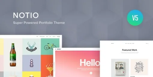 Notio Creative Portfolio WordPress Theme 5.6.2 GPL Theme