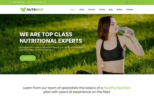 Nutrimof Nutritional Health WordPress Theme 1.0.0 GPL Theme
