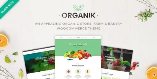 Organik Organic Food Store WordPress Theme 3.2.8 GPL Theme