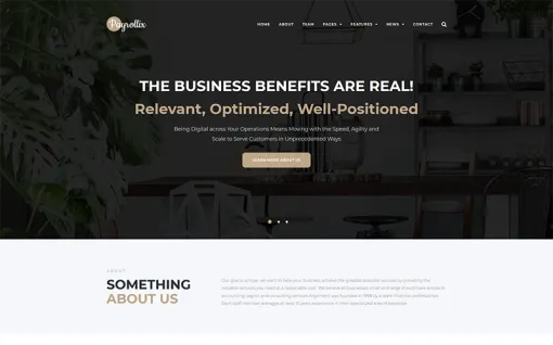 Payrollix Internet Business Accounting WordPress Theme 1.0.1 GPL Theme