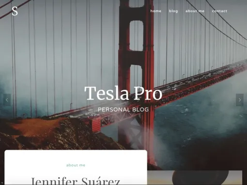 Tesla Pro 1.0.3 GPL Theme