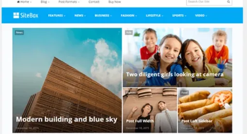Theme Junkie – SiteBox 1.3.0 GPL Theme