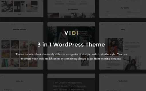 ViDi 3 in 1 Creative WordPress Theme 1.1.2 GPL Theme