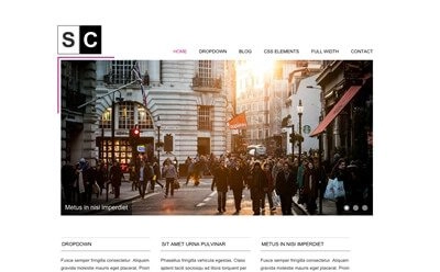 Viva Themes Space Color WordPress Theme 3.1 GPL Theme