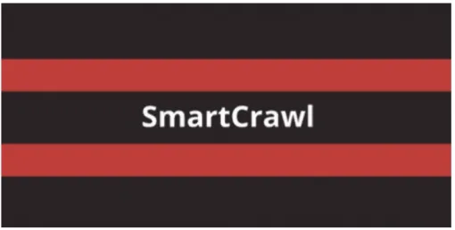 WPMU DEV SmartCrawl Pro 3.10.9 GPL Plugins