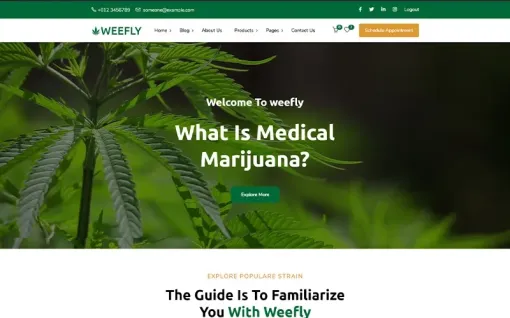 Weefly | Medical Cannabis Marijuana WordPress Theme 1.9.7 GPL Theme
