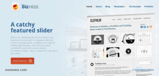 WooThemes Biznizz Premium Theme 1.6.9 GPL Theme